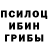 Галлюциногенные грибы Magic Shrooms Dave Lestrange