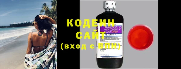 крисы Козельск