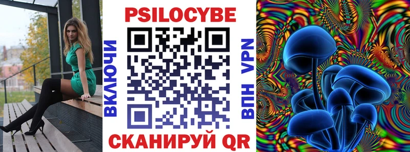 купить наркоту  Петров Вал  Псилоцибиновые грибы ЛСД 